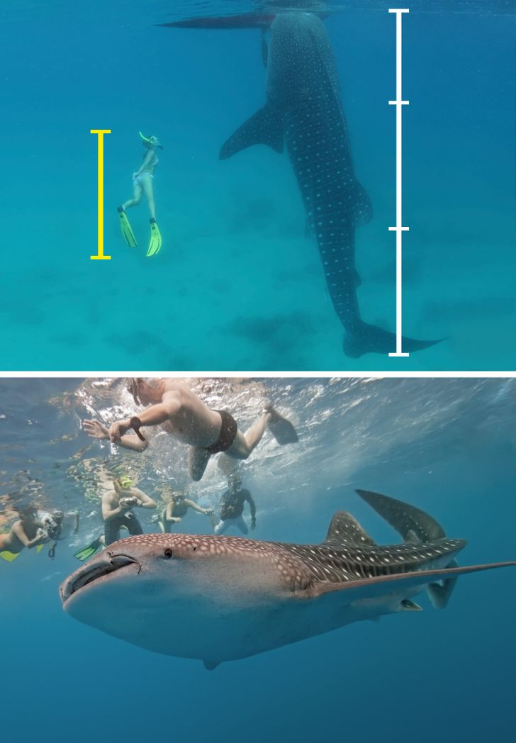 a0e88d541aa7c8d96600079acd