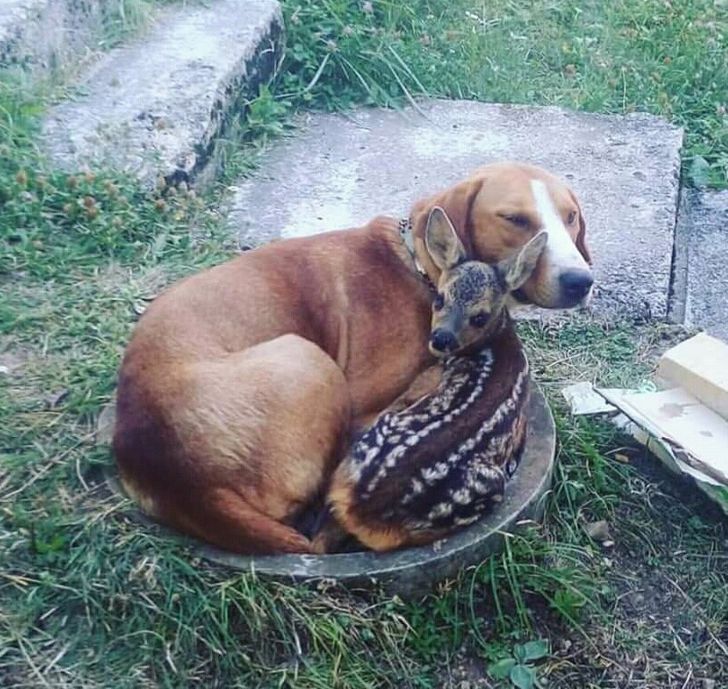 a0f326507e810d19d28d1775d6