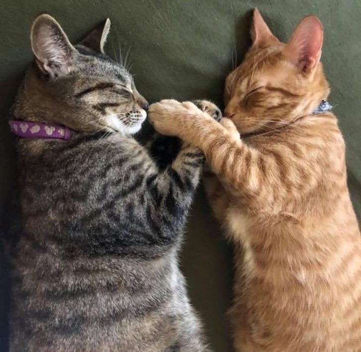 a0f3e3518fa78e57e98db0e3a8