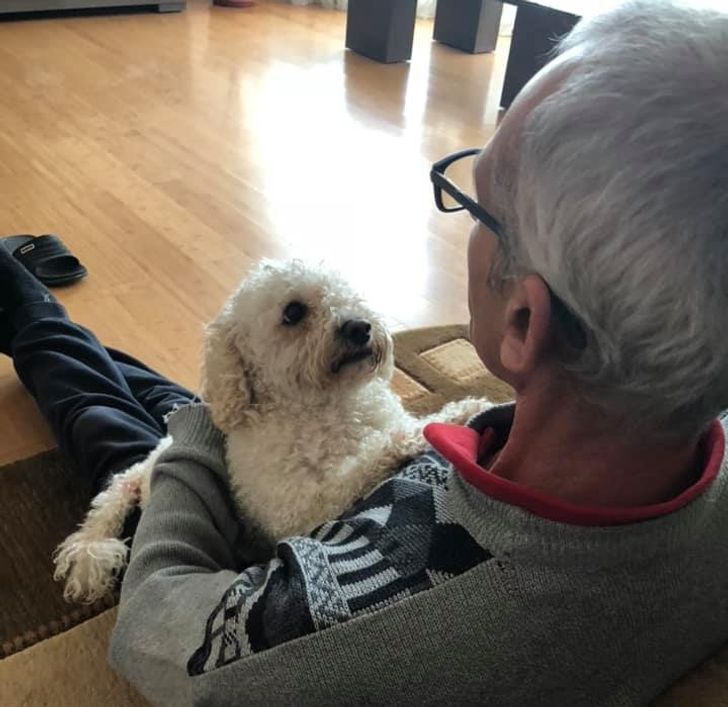 a0f6be5ded95e7a1b5e958995a