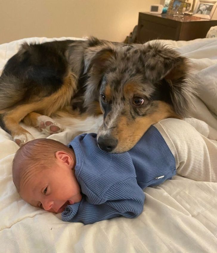 a0fb85587c86b3f2c545ef1c89