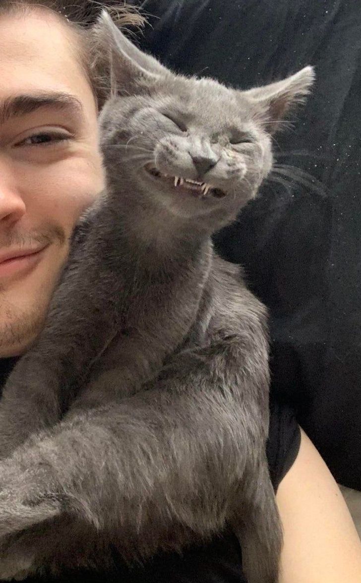 a0ff515065a98610464d03488a