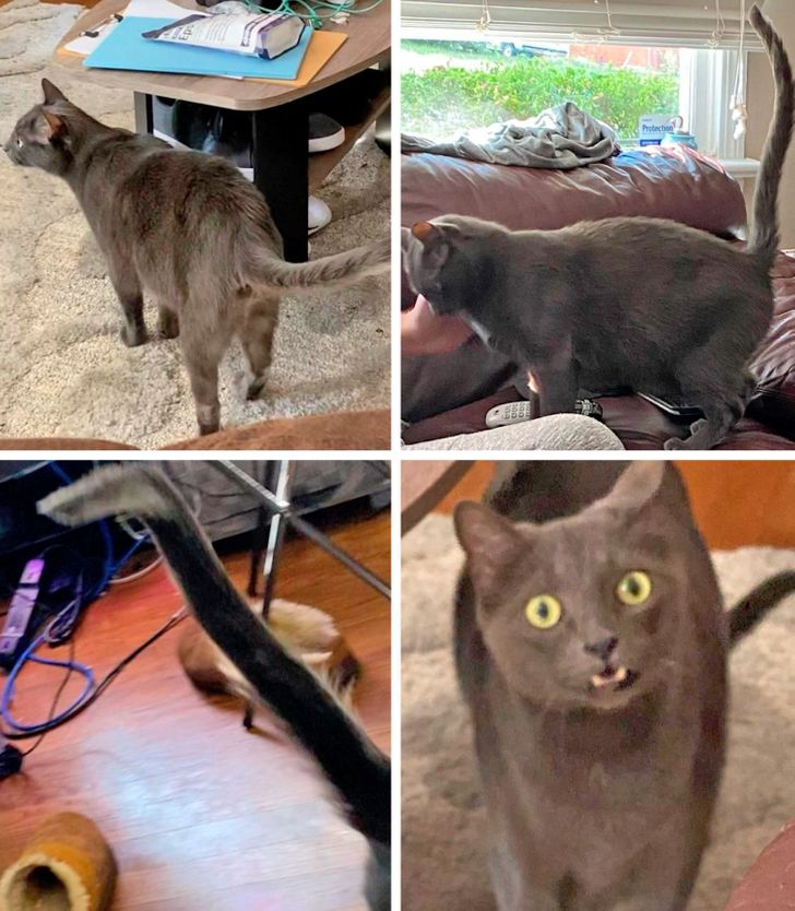 a101bd5931948c62d328a3bd1f