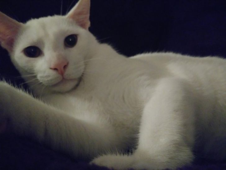 a1030e5129b68d3f13c3ae00f1