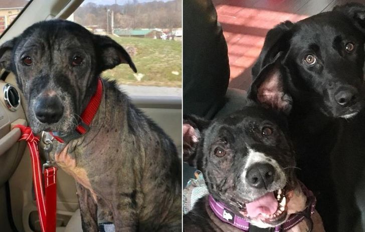 a10fd75ffeaeefe5ad6bdb2afb