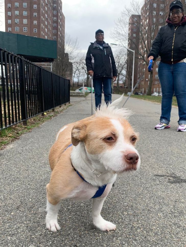 a1131250b1845b814146f75457