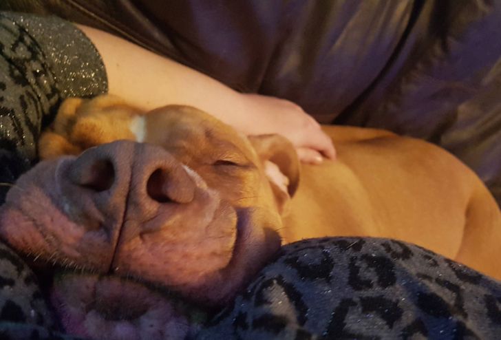 a113d1508590ea09a34edbef82