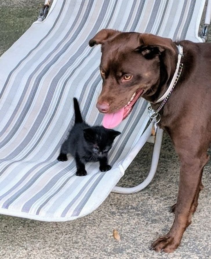 a113d458b4874ec33331b42862