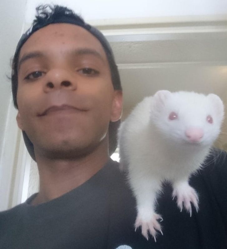 a114e3521bbf08007be9cefbd4