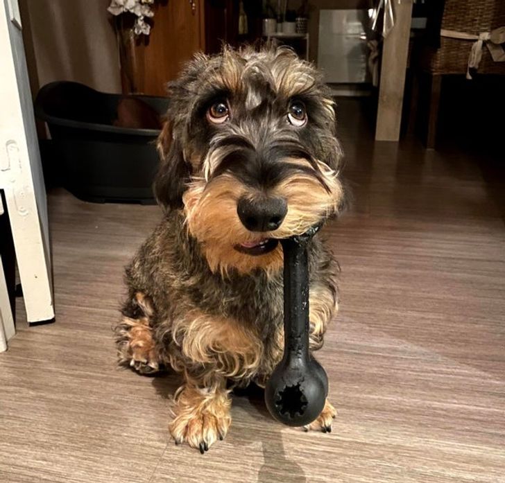 a1177c5adf967734aaf3622d8a