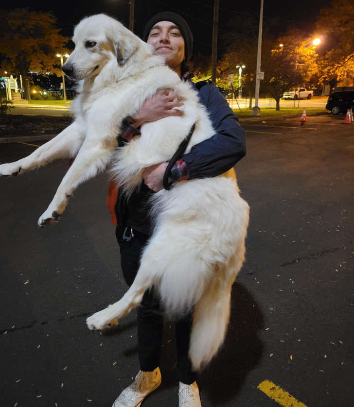 a119f854fe8396095631012dbb a119f854fe8396095631012dbb