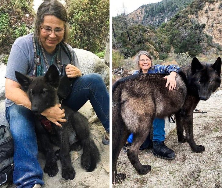 a12c5e5b0bb28880ba51a06c50