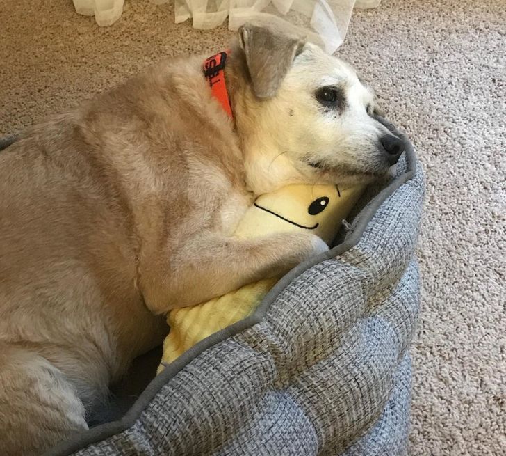 a130c55fc49b14edfb171bf817