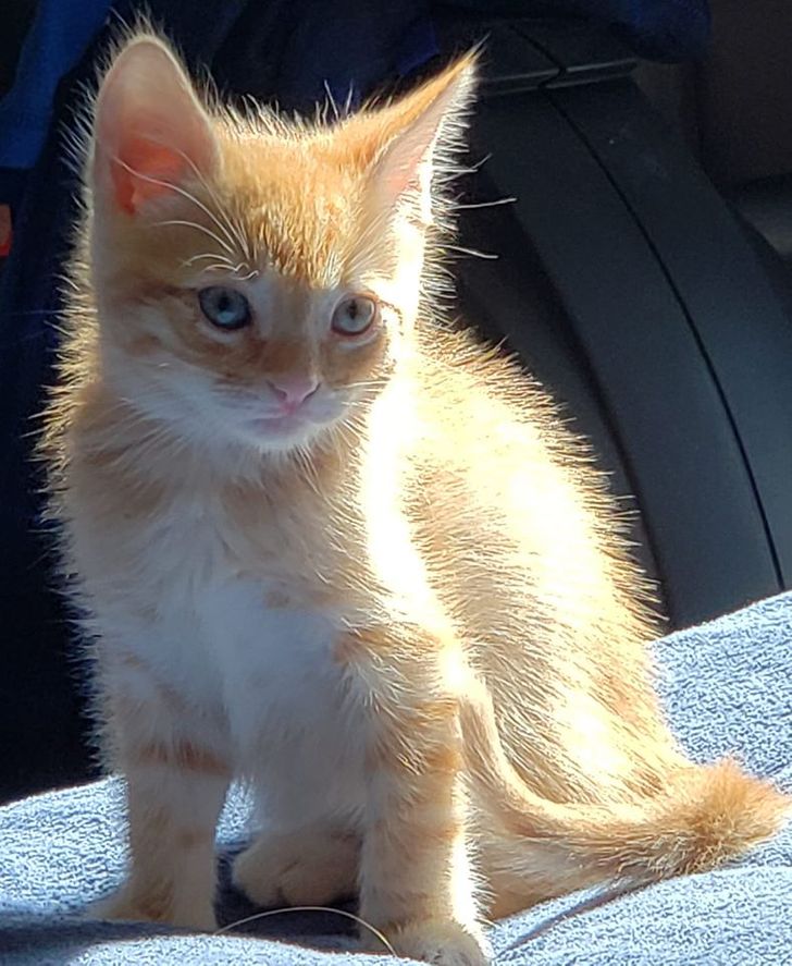 a13b9f569c843cd1ccfcc8ba43