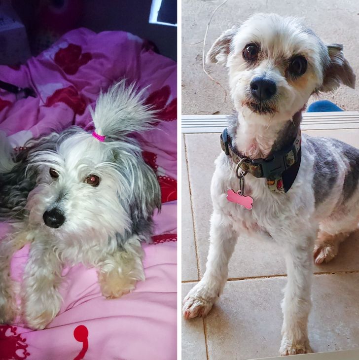 a13e2f5e54aeb69a715318f36e