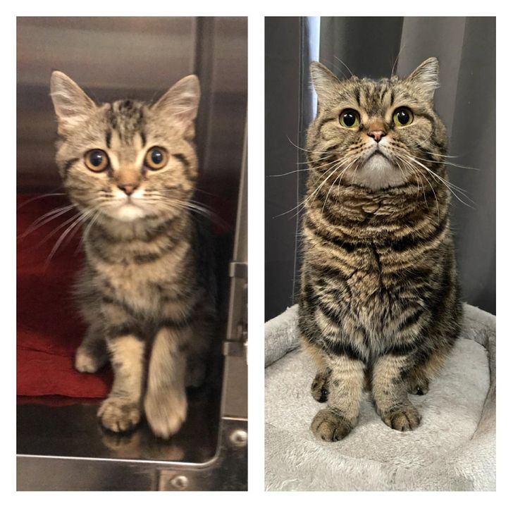 a141815020b65ca2b225bf2464