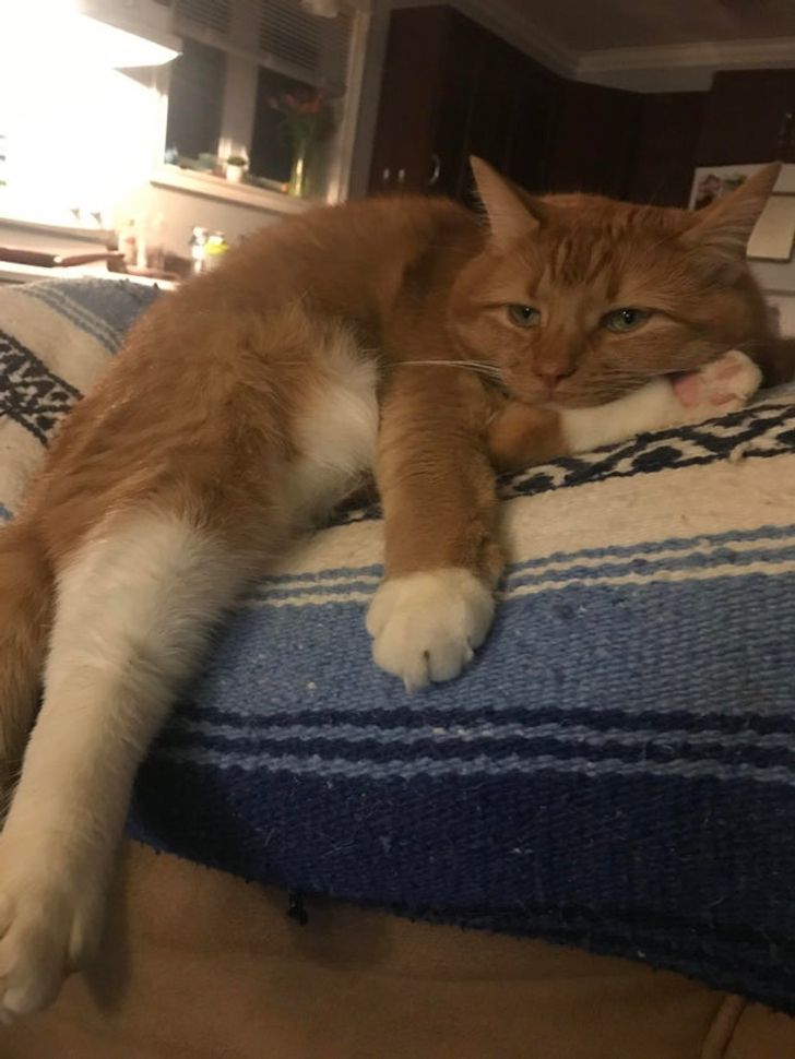 a149335387bc4c50767025a65b