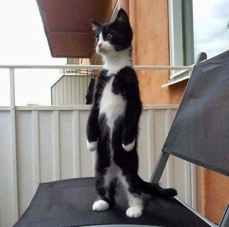 a149b9597b91b300a09f409b22