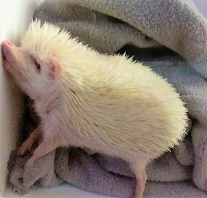 a14dc555df848799db819ec644