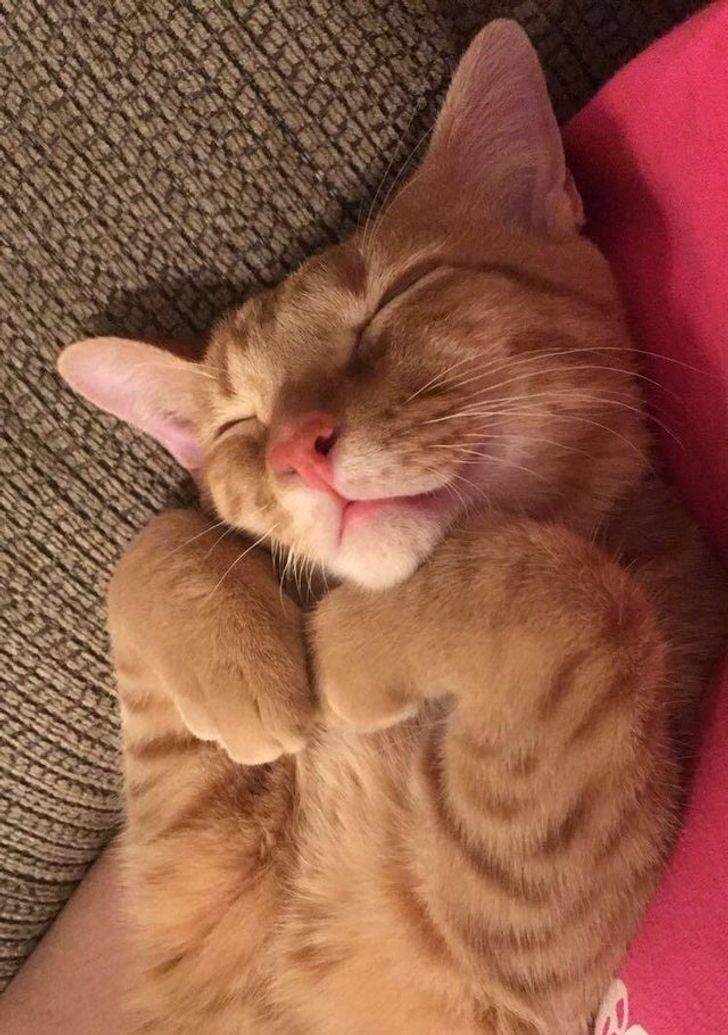 a1543351439817882aa08d7460