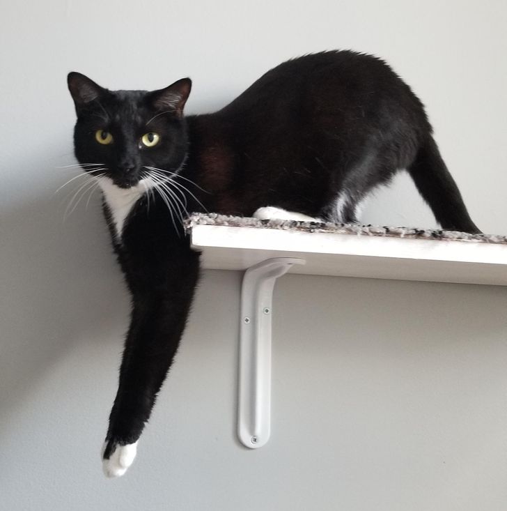 a15d705482a780dee440bebf40