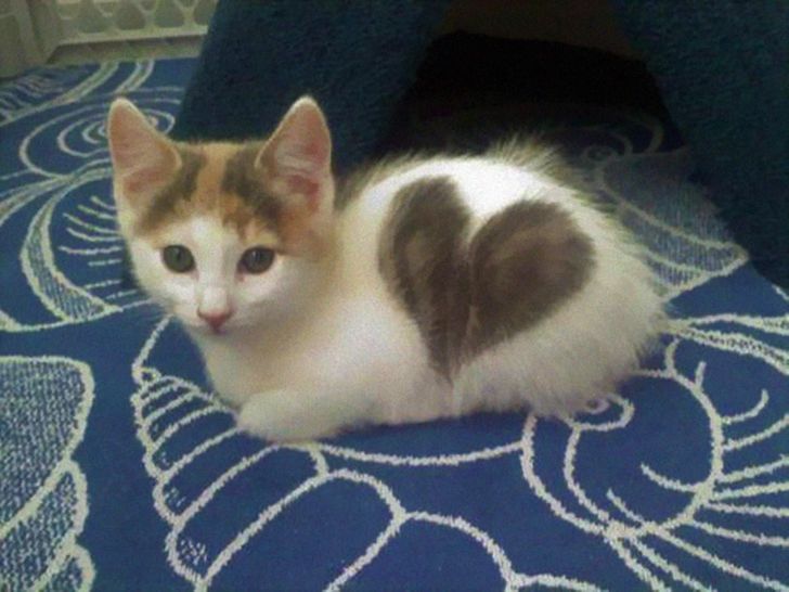 a161eb5abe862a7201797f45bc