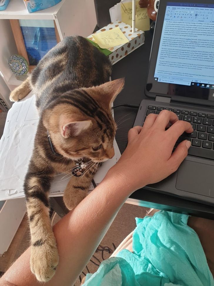 a163d850d18a5c1079afc7755d