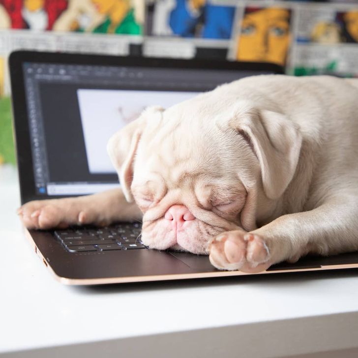 a167f05da0a6439d21981ca957