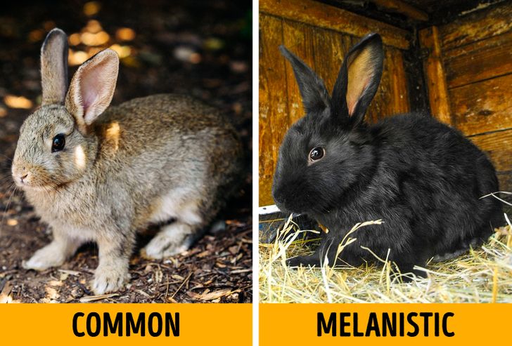 a170a95ac0b2ee7fe5c4438c75