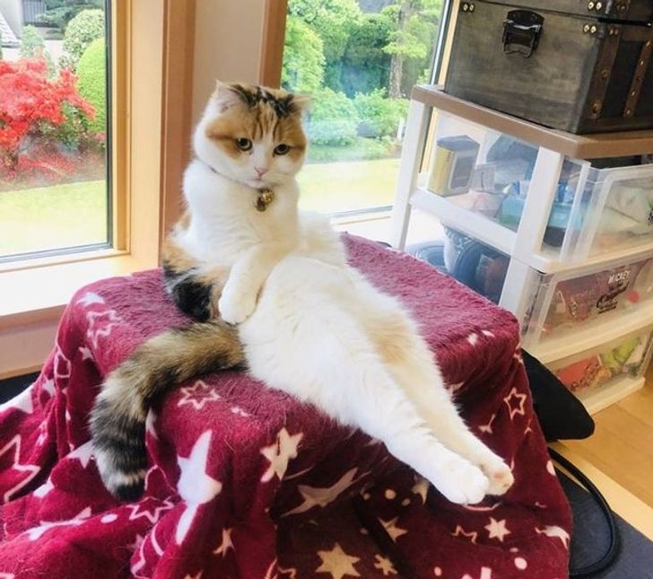 a179795e88819ae354af8cfada