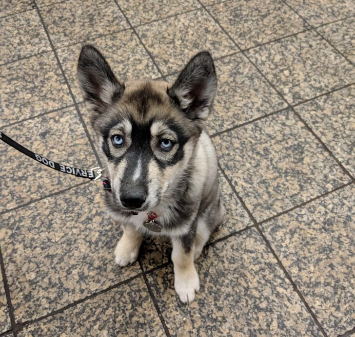 a17bc252b3bea703b40a2441ec