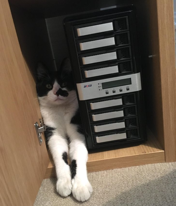 a181db592c9e90673860a7658a