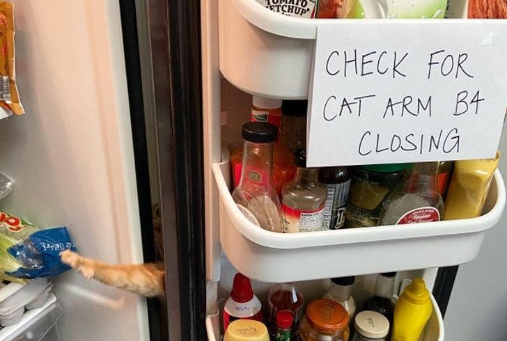 a181fa564c8400cadceca0487f