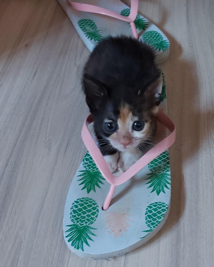 a185a95cb1b9de8c609c098f33