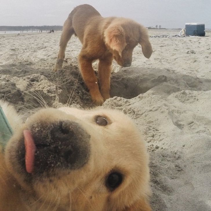 a1862a5f218cf4793f8690f739