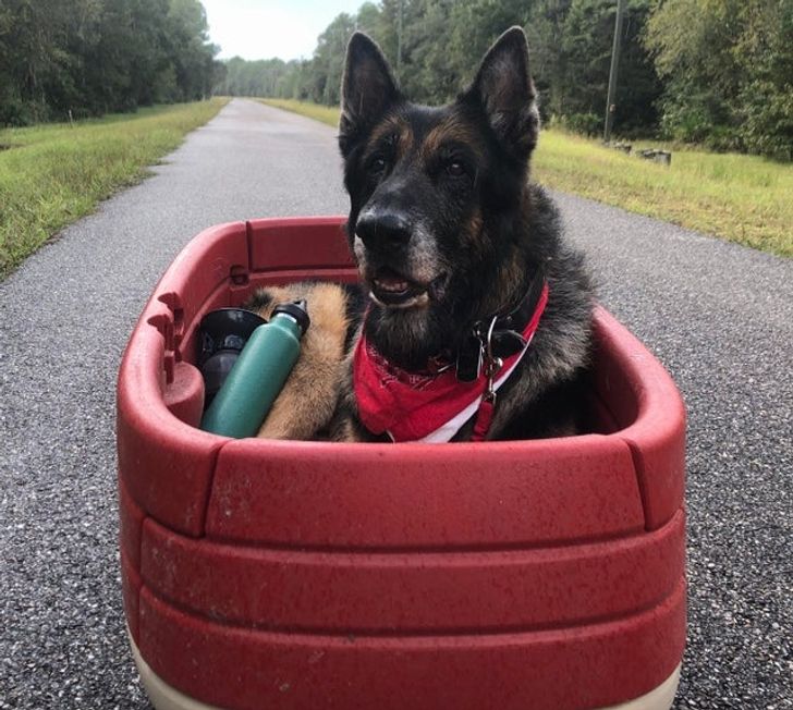 a187665651998327a30d0c7e4f