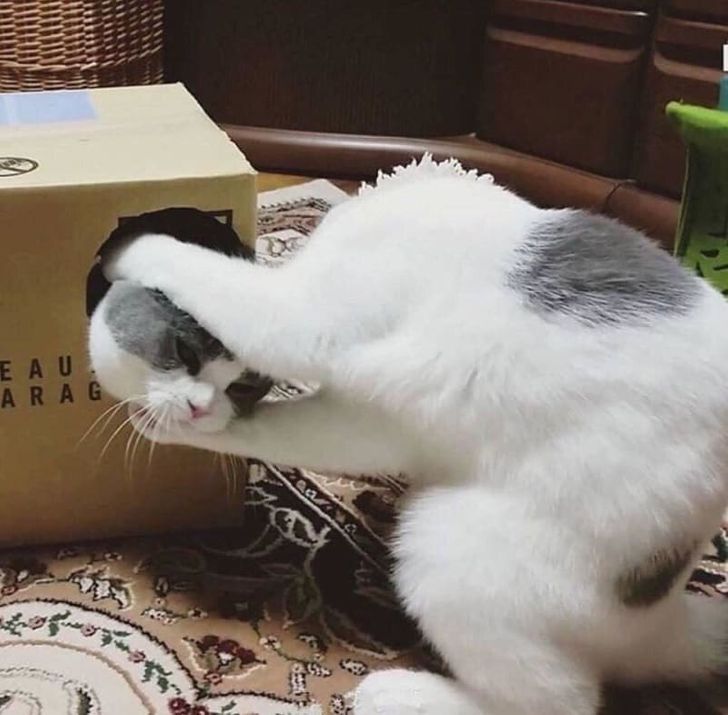 a18e375a63bcdd634bd537539f