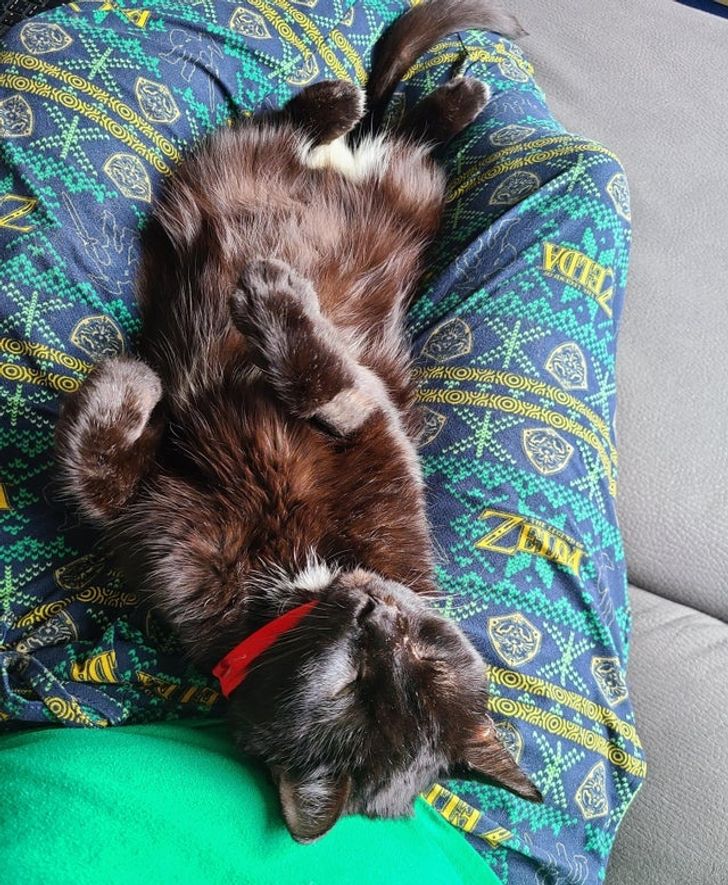 a18e6a510286f87817848a5d6a