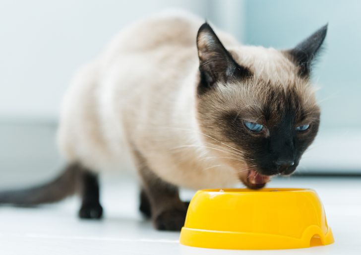 a1928d542ab243e654b49516bb