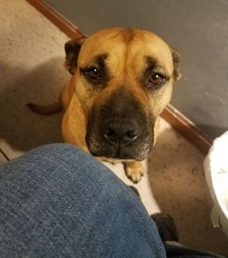 a194095361b72dd4ab2d356d8f