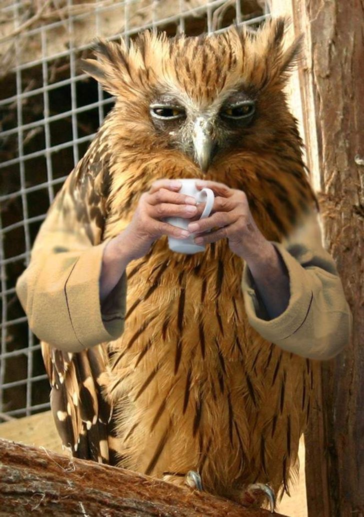 a1addf55de9256f1aec6ab29b4