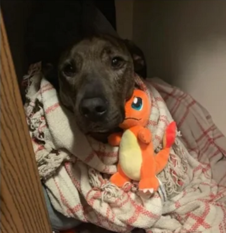 a1b77857f6b5e66aa803fa8c7b a1b77857f6b5e66aa803fa8c7b