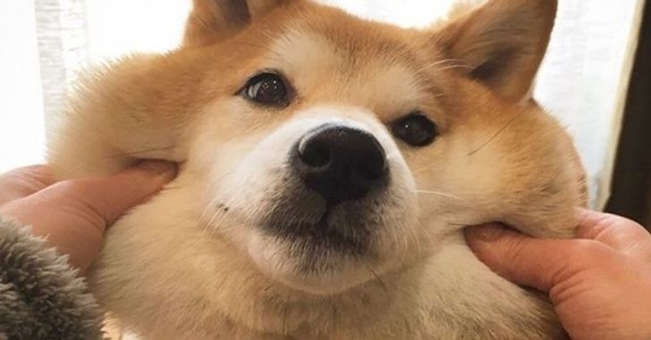 a1bed459888e856c696b253801