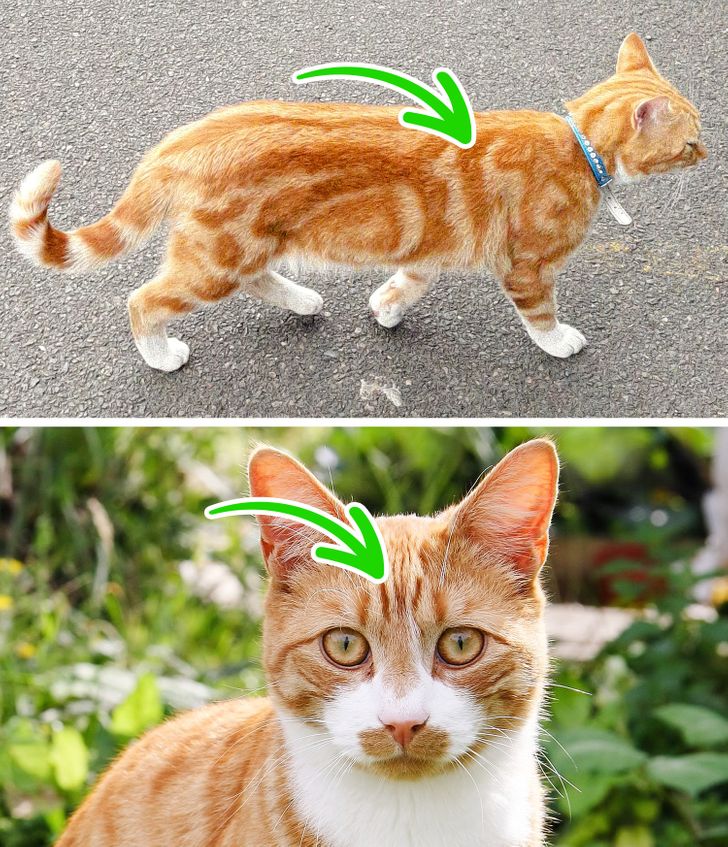 a1c7c25f8898e16c33c0fff701