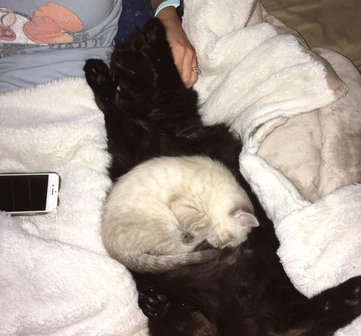 a1d00c5b00a1575a4bdeb7ebba