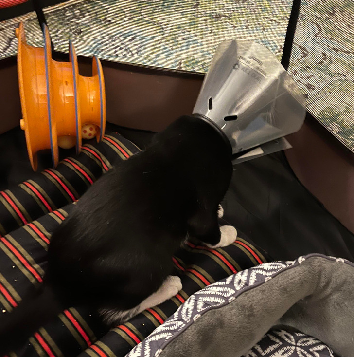 a1db1551b4aa738e25a36585e1 a1db1551b4aa738e25a36585e1