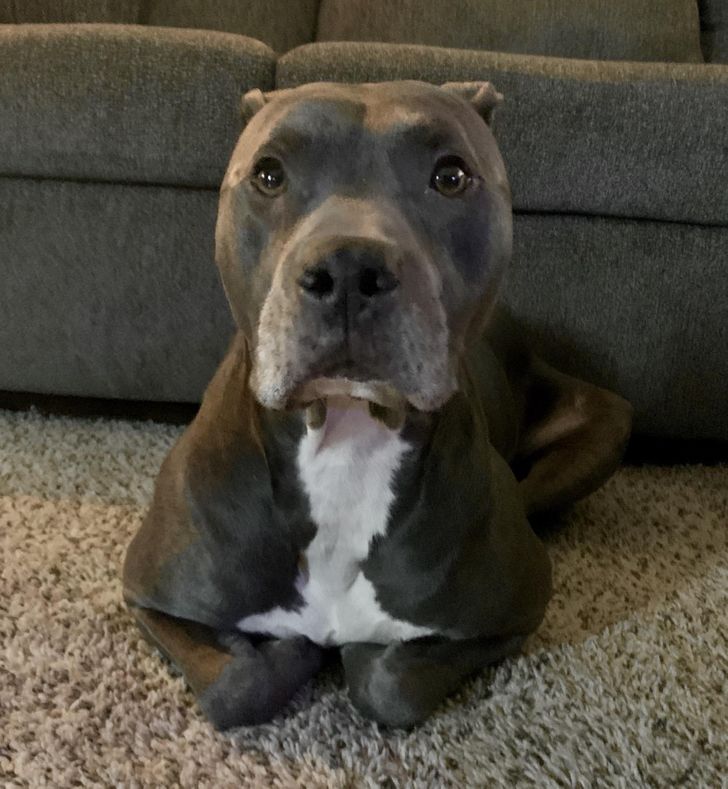 a1dd4a56348cb5fa425be345a2