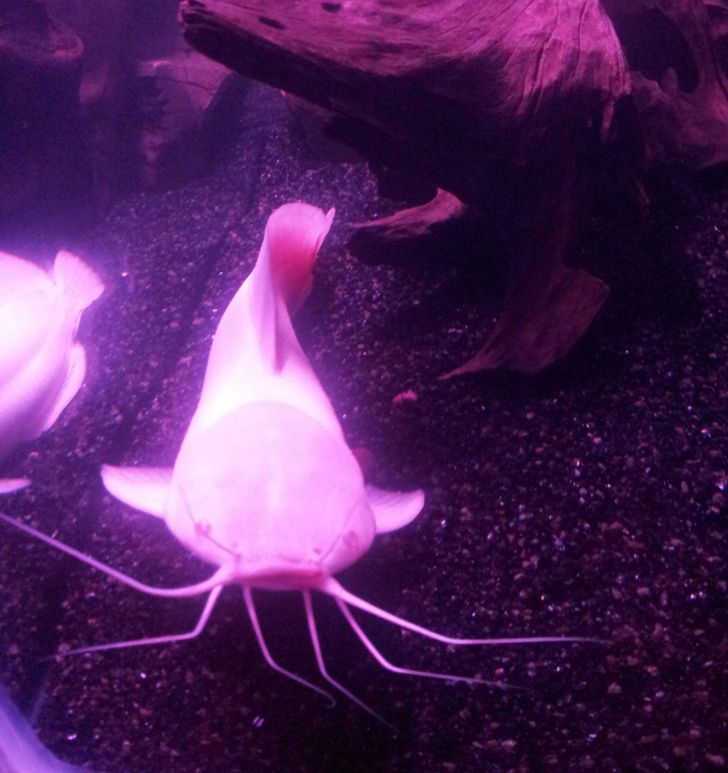 a1df535995b59ad61e8647b6f3