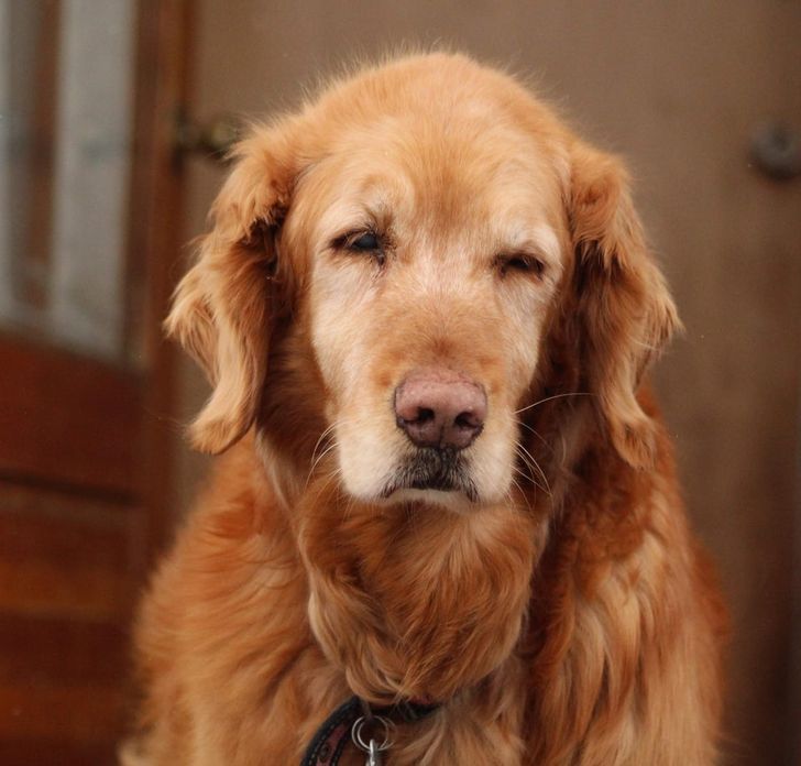 a1e00057e3982acd9d7fb014b3