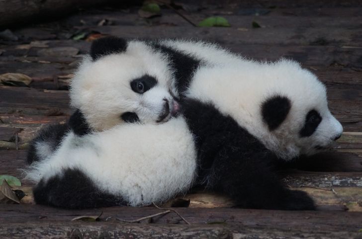 a1e07f57dba336800575139909